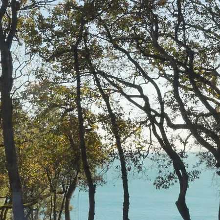 Casacon Music Hotel Sirolo