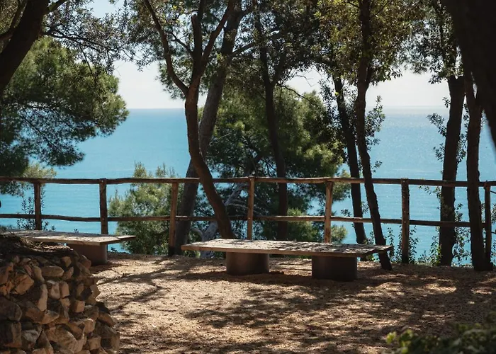 Hotell Casacon Disco 4*