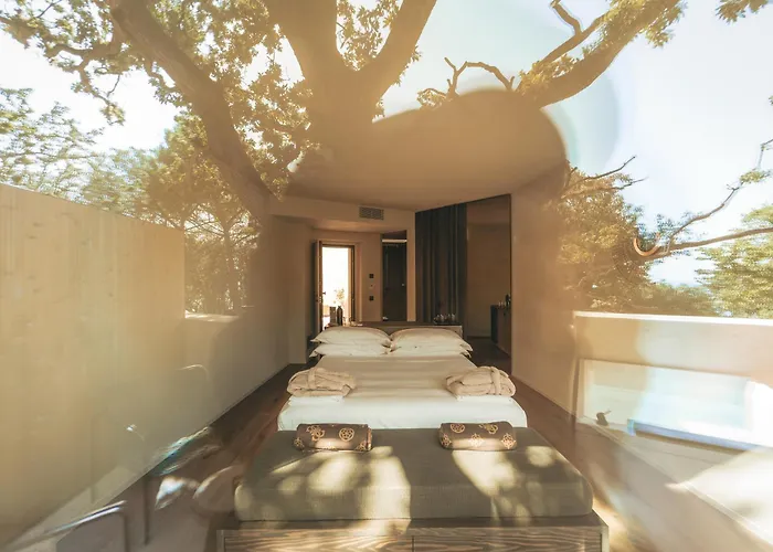 Casacon Disco Hotell 4*